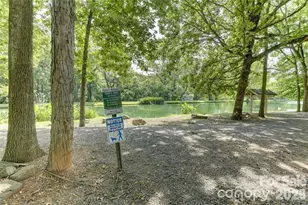 14010 Merganzer Ct, Charlotte, NC 28273 - Photo 32