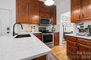 14010 Merganzer Ct, Charlotte, NC 28273 - Photo 4