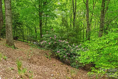58 Sourwood Drive, Mills River, NC 28759 - Photo 38