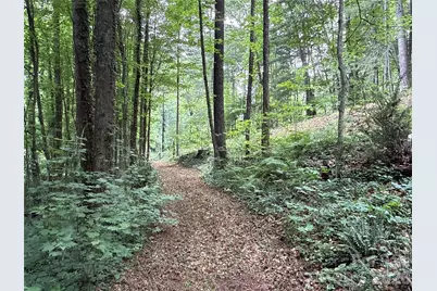9999 Sunset Drive, Black Mountain, NC 28711 - Photo 4