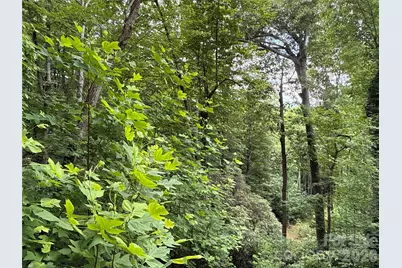 9999 Sunset Drive, Black Mountain, NC 28711 - Photo 10