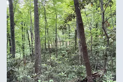 9999 Sunset Drive, Black Mountain, NC 28711 - Photo 6
