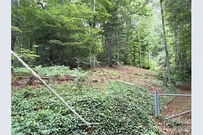 9999 Sunset Drive, Black Mountain, NC 28711 - Photo 2