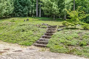 2255 Mt Olivet Rd, Zirconia, NC 28790 - Photo 34