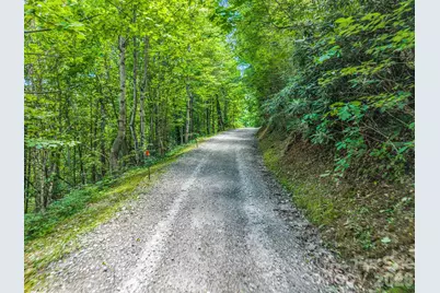 2255 Mount Olivet Road, Zirconia, NC 28790 - Photo 38