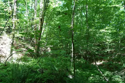 000 Shinnville Road, Mooresville, NC 28115 - Photo 8