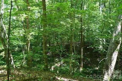 000 Shinnville Road, Mooresville, NC 28115 - Photo 6