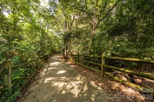 7306 Carrbridge Ln, Charlotte, NC 28226 - Photo 48