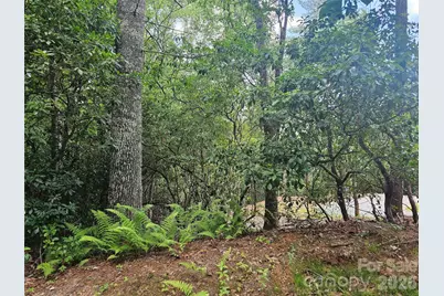 171 Duff Cove Road, Brevard, NC 28712 - Photo 30