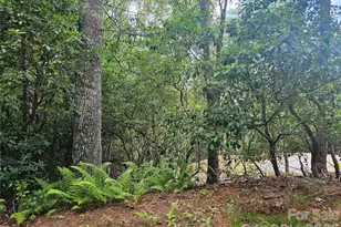 171 Duff Cv Rd, Brevard, NC 28712 - Photo 30