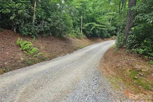 171 Duff Cv Rd, Brevard, NC 28712 - Photo 6
