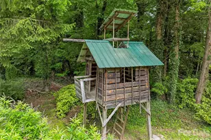 153 Franklin St, Brevard, NC 28712 - Photo 46