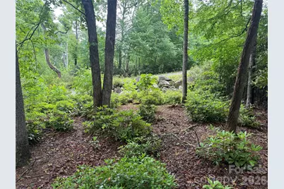 Tbd Dogwood Trail, Spruce Pine, NC 28777 - Photo 1