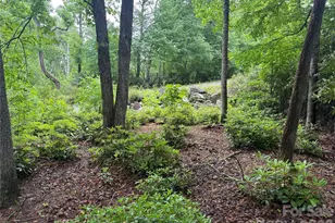 Tbd Dogwood Trail, Spruce Pine, NC 28777 - Photo 1