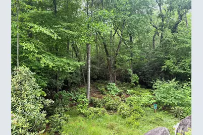 Tbd Dogwood Trail, Spruce Pine, NC 28777 - Photo 4