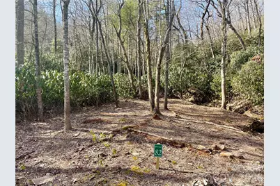 Tbd Dogwood Trail, Spruce Pine, NC 28777 - Photo 2