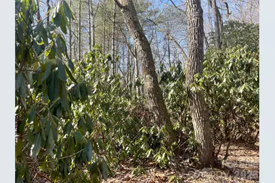 Tbd Dogwood Trail, Spruce Pine, NC 28777 - Photo 26