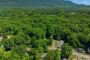 895 N Trade St, Tryon, NC 28782 - Photo 44