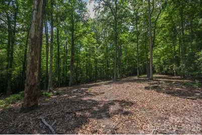 Tbd Reserve Road #16, Pisgah Forest, NC 28768 - Photo 16
