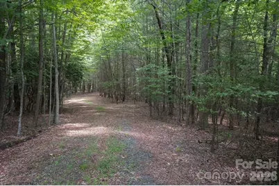 Tbd Reserve Road #16, Pisgah Forest, NC 28768 - Photo 4