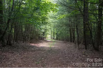 Tbd Reserve Road #16, Pisgah Forest, NC 28768 - Photo 6