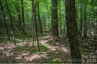 Tbd Reserve Road #16, Pisgah Forest, NC 28768 - Photo 18