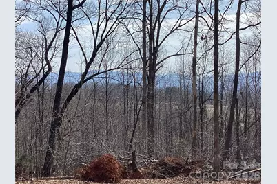 5060 Tallent Hill Lane, Morganton, NC 28655 - Photo 6
