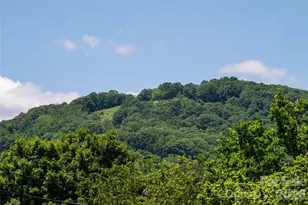 339 Hi Alta Ave, Asheville, NC 28806 - Photo 36