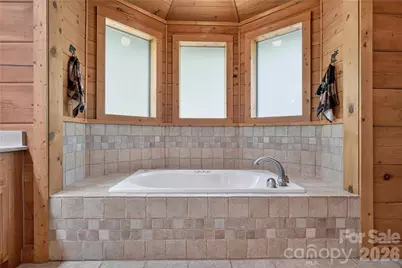 335 Whites Lake Boulevard, Saluda, NC 28773 - Photo 22