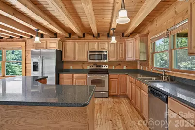 335 Whites Lake Boulevard, Saluda, NC 28773 - Photo 14