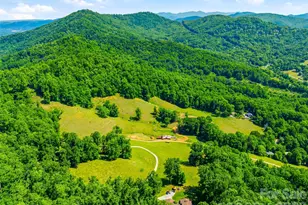 52 Chapel Hill Church Rd, Asheville, NC 28803 - Photo 36