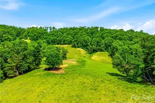 52 Chapel Hill Church Rd, Asheville, NC 28803 - Photo 34