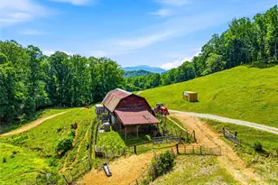 52 Chapel Hill Church Rd, Asheville, NC 28803 - Photo 8