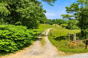 52 Chapel Hill Church Rd, Asheville, NC 28803 - Photo 2