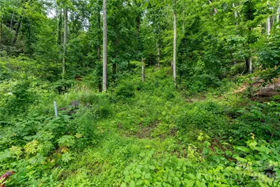 334 Carriage Crest Drive, Hendersonville, NC 28791 - Photo 4