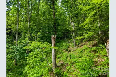 334 Carriage Crest Drive, Hendersonville, NC 28791 - Photo 14