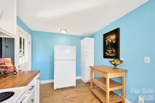 440 Carolina Ave, Brevard, NC 28712 - Photo 14