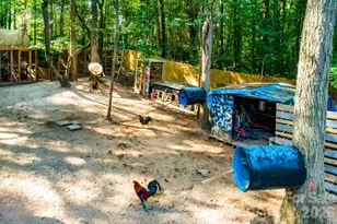 2268 Forest Music Dr, Clover, SC 29710 - Photo 2