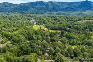 807 N Cherokee Ave, Black Mountain, NC 28711 - Photo 14