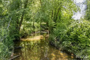 167 Tatham Rd, Hendersonville, NC 28792 - Photo 46