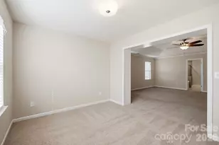 3537 Arnica Ct, Fort Mill, SC 29708 - Photo 30