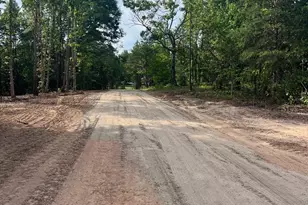 328 Southern Way, Nebo, NC 28761 - Photo 22
