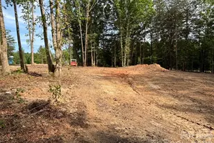 328 Southern Way, Nebo, NC 28761 - Photo 10