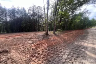 328 Southern Way, Nebo, NC 28761 - Photo 20