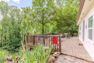 1680 Williamson Rd, Whittier, NC 28789 - Photo 18