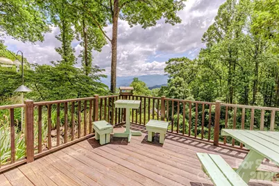1680 Williamson Road, Whittier, NC 28789 - Photo 24