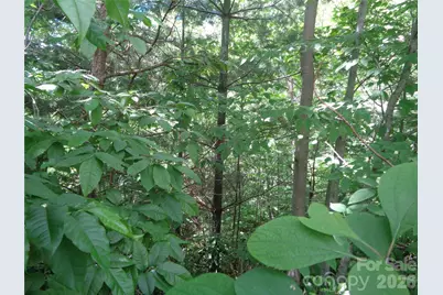Lot 6 Peaks Creek Trail, Maggie Valley, NC 28751 - Photo 2