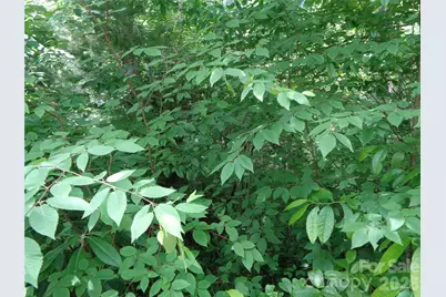 Lot 6 Peaks Creek Trail, Maggie Valley, NC 28751 - Photo 4