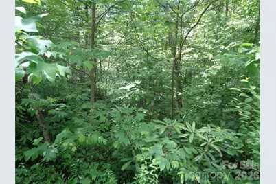 Lot 6 Peaks Creek Trail, Maggie Valley, NC 28751 - Photo 6