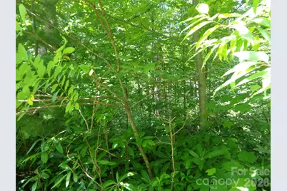 Lot 6 Peaks Creek Trail, Maggie Valley, NC 28751 - Photo 8